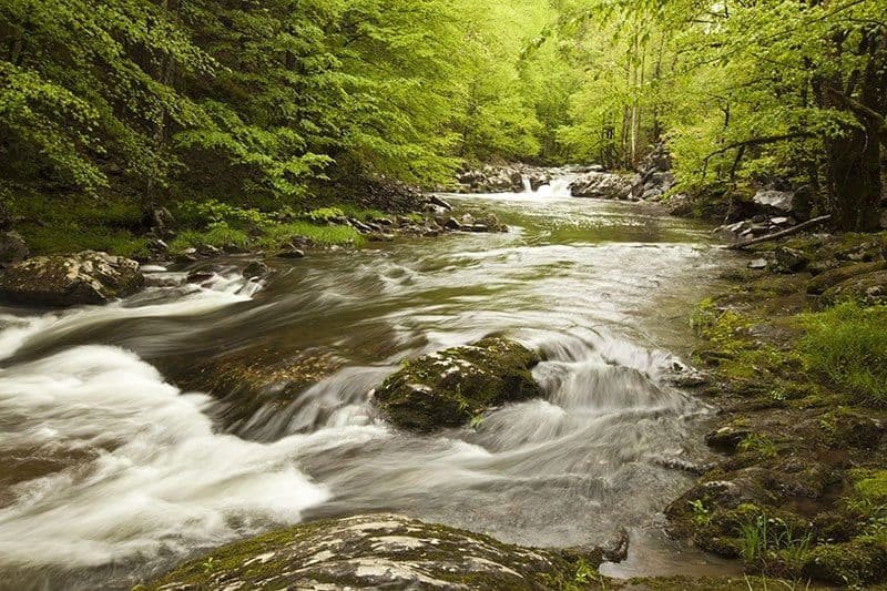 A beautiful stream near our campground in the Smoky Mountains.