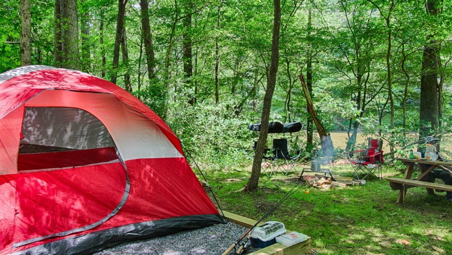 A tent pitched at Pigeon River Campground in the Smoky Mountains