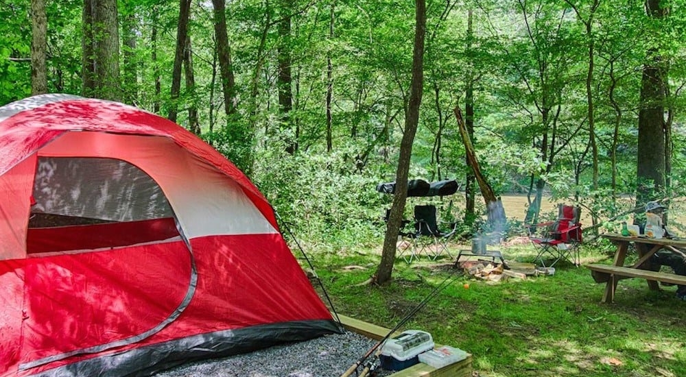 Tent pitched at our Smoky Mountain campground.