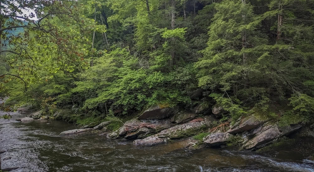 river in the smoky mountains