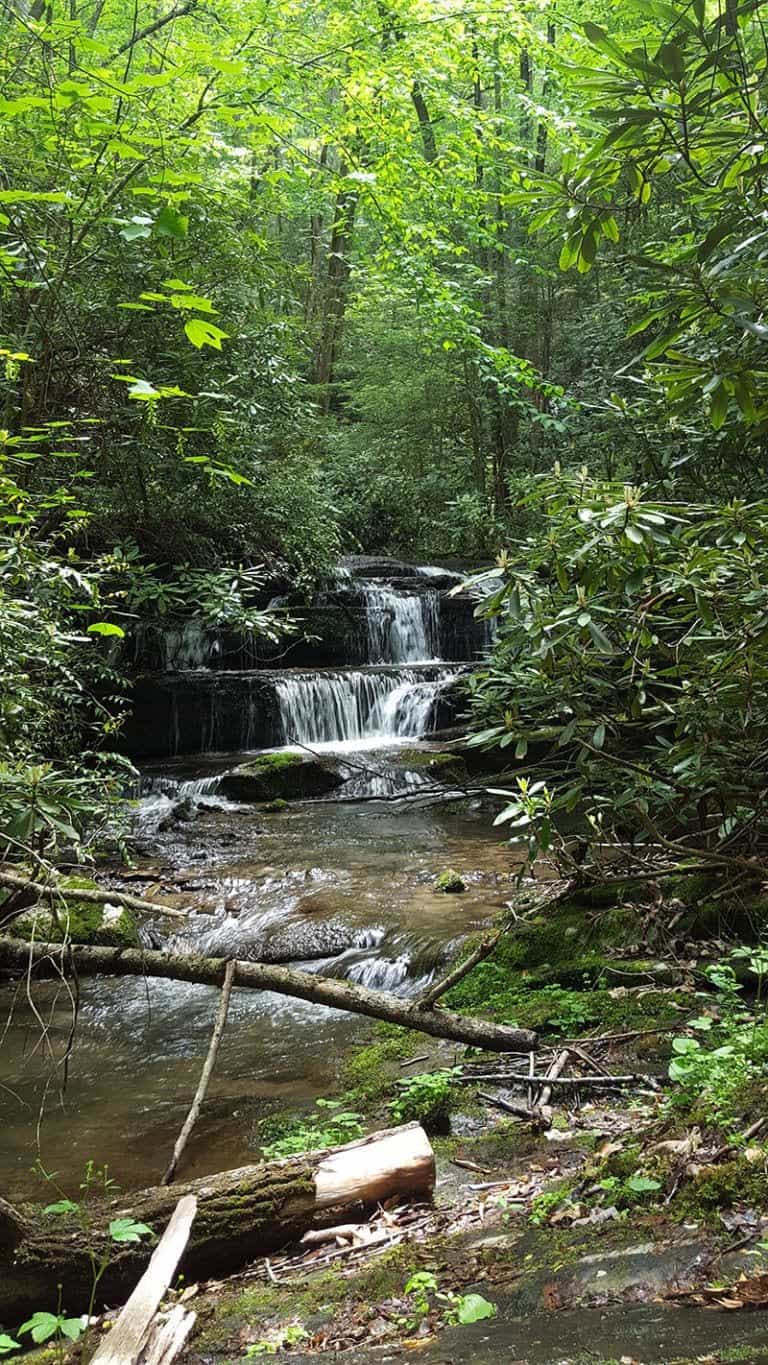 Smoky Mountain Hiking Information From Pigeon River Campground