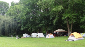 Which of Our Smoky Mountain Camping Sites is the Best Fit for You?
