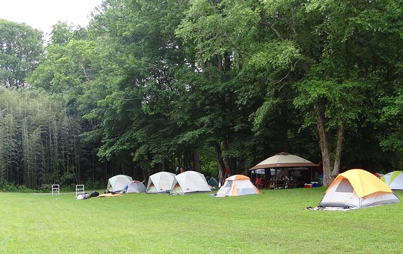 A row of tents on the grass at Pigeon River Campground in the Smoky Mountains.