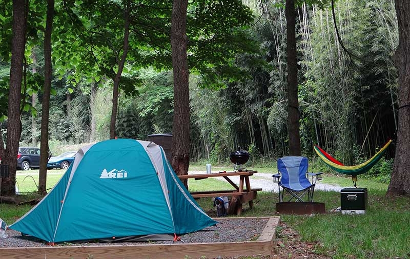 Top 4 Ways You Save Money By Staying at Our Campground in the Smoky Mountains Top 4 Ways You Save Money By Staying at Our Campground in the Smoky Mountains