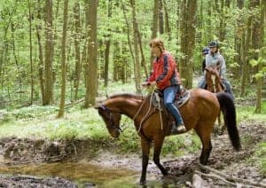 A family horseback riding in the forest.