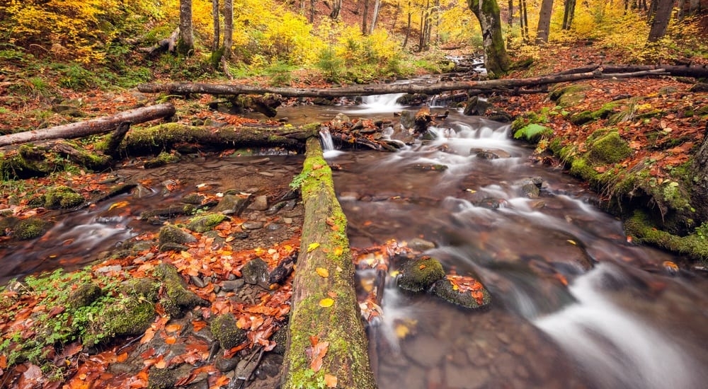5 Reasons to Go Camping Near the Great Smoky Mountains National Park for Fall Break
