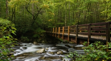 The 6 Best Family Activities to do While Camping in the Smoky Mountains