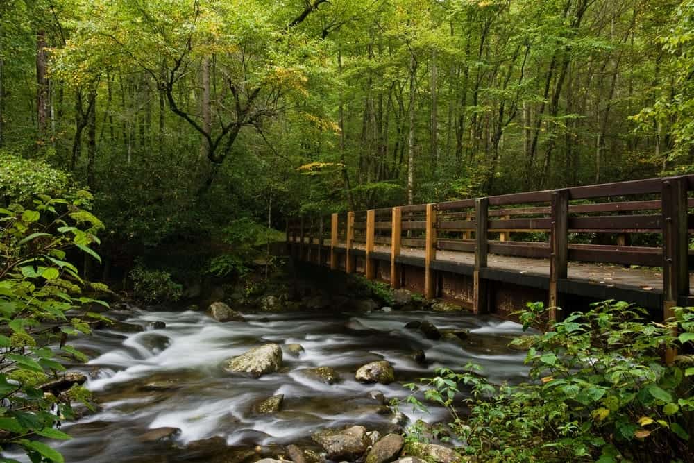 The 6 Best Family Activities To Do While Camping In The Smoky Mountains 