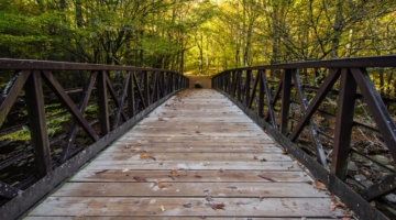 bridge along the gatlinburg trail in the smoky mountains