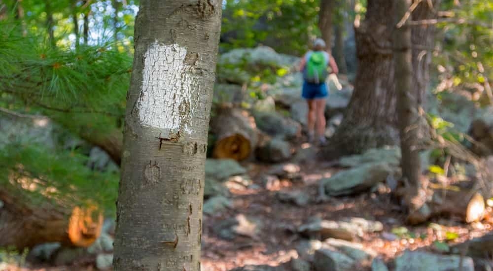Smoky Mountains Appalachian Trail marker with hiker in background