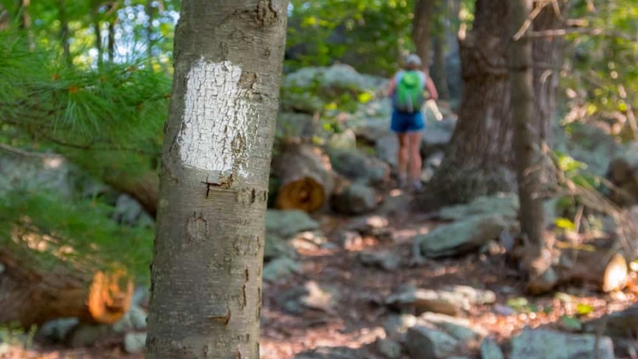 3 Fascinating Things to Know About Hiking the Appalachian Trail Smoky Mountains Appalachian Trail marker with hiker in background