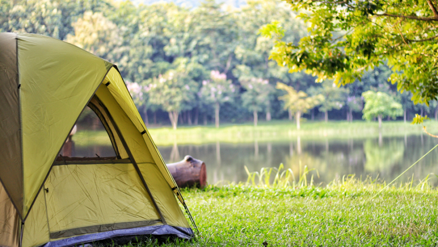 yellow tent