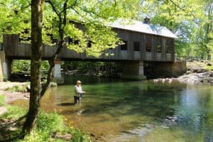 fishing on the Pigeon River