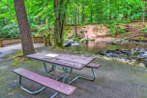 picnic area cades cove smoky mountains