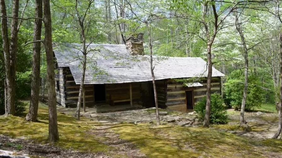 3 Best Things to Do in the Smoky Mountains in the Spring