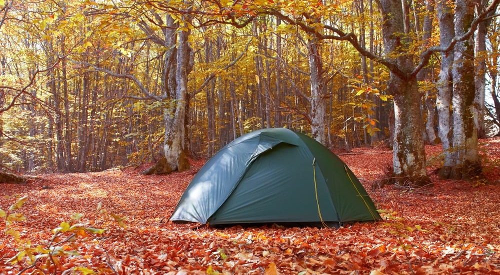 Top 4 Reasons to Go Camping in the Smoky Mountains in the Fall