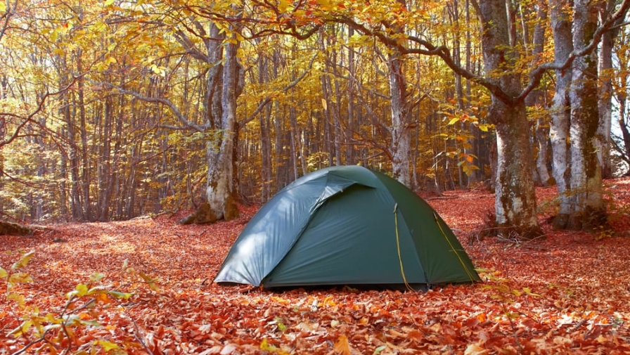 tent in the woods showing fall colors in the Smoky Mountains