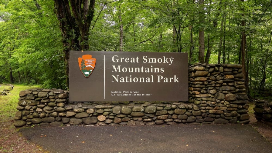 Top 3 Benefits of the Leave No Trace Policy at the Great Smoky Mountains National Park