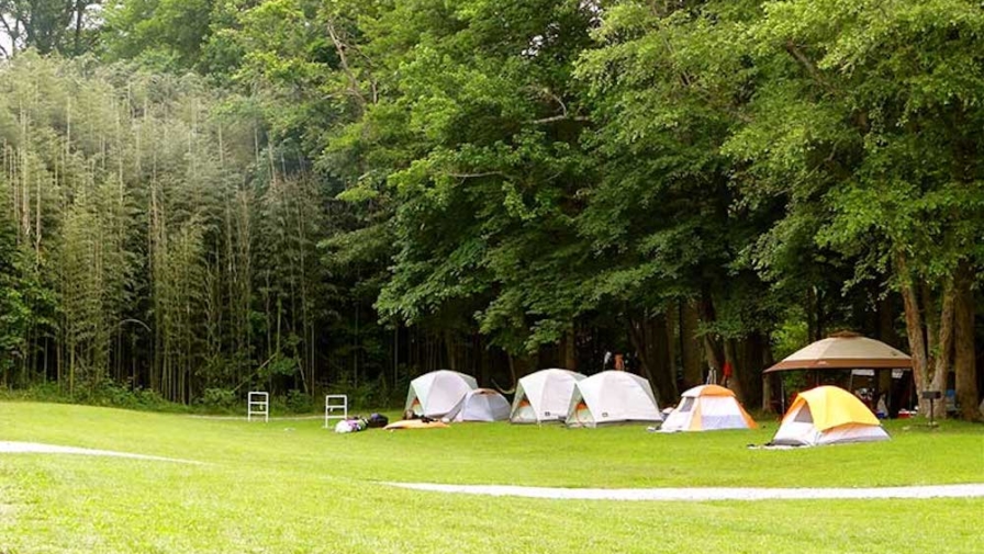 tents set up at pigeon river campground