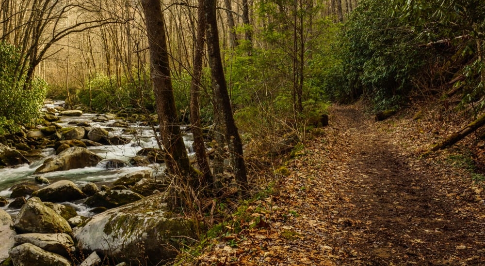 5 Hiking Trails in the Smoky Mountains Near Our Campground