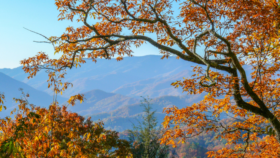 Fall colors in the Smoky Mountains