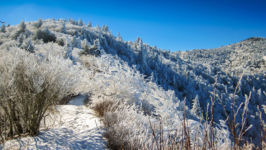 4 of the Best Winter Hikes in the Smoky Mountains
