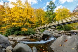 smoky mountains in the fall