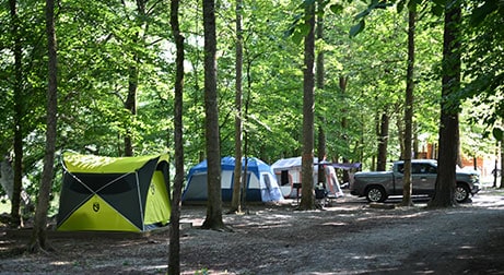 Tents at Pigeon River Campground in the Smokies
